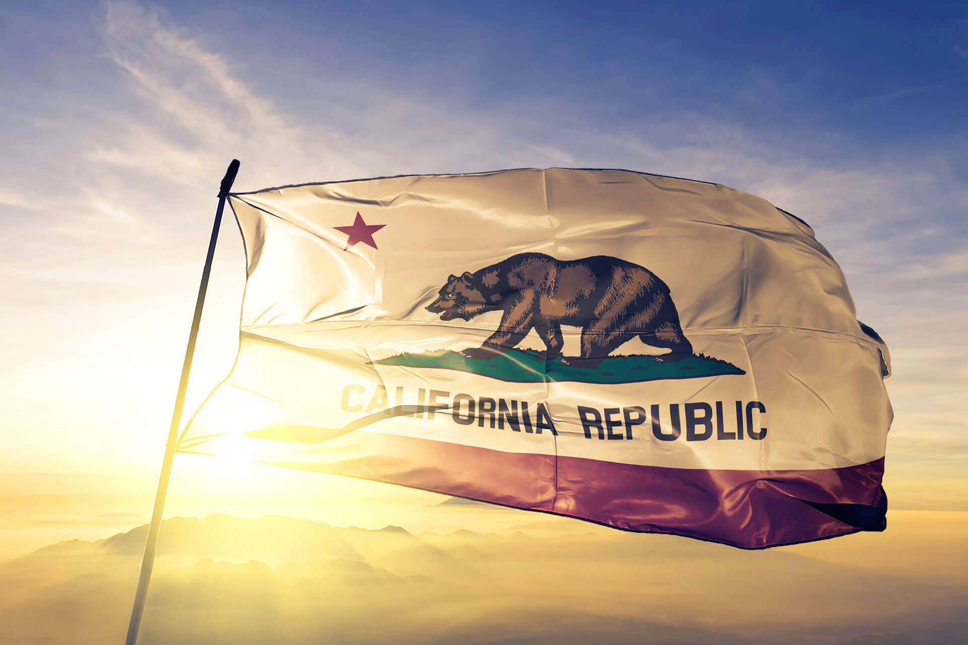 California state flag