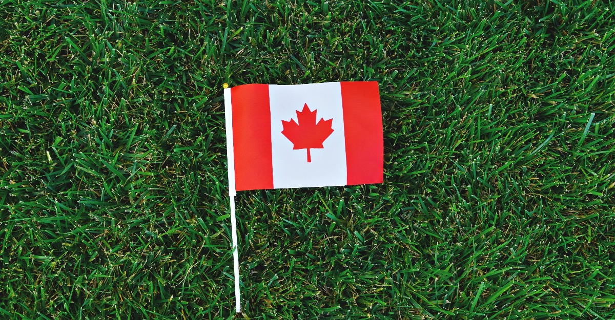 flag of canada on grass
